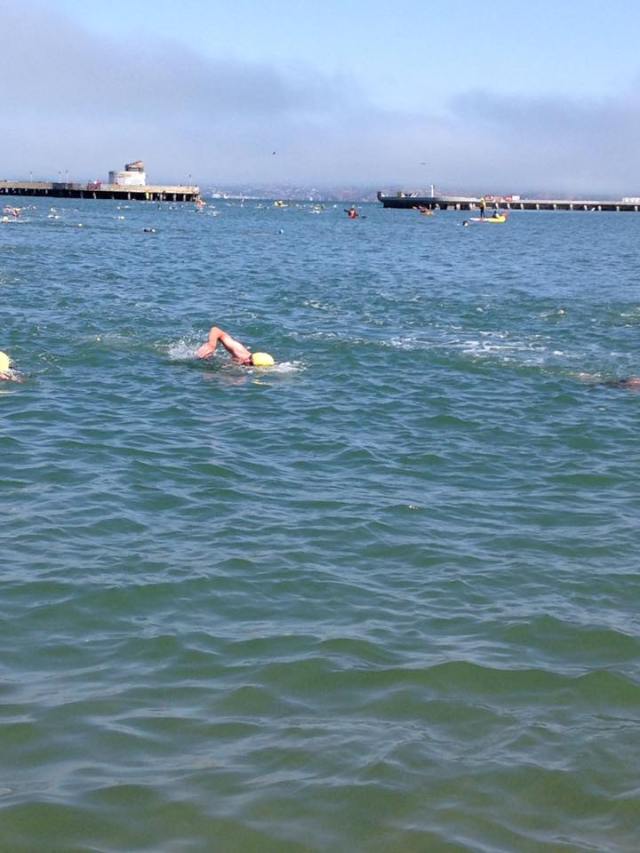 13932927_10153726792096994_4211943696389678992_n